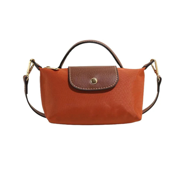 Mini Longchamp Bag