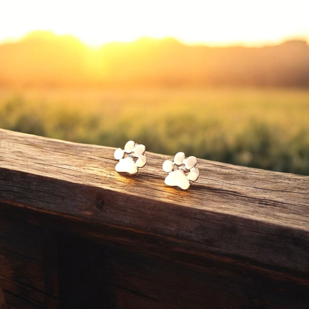 Hypoallergenic Earrings