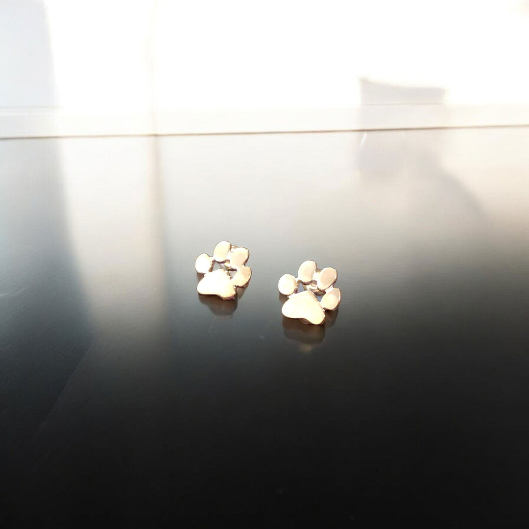 Hypoallergenic Earrings